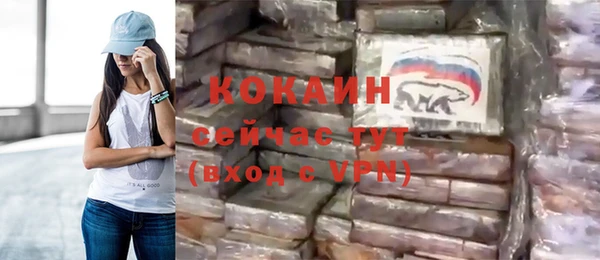прущие грибы Бородино