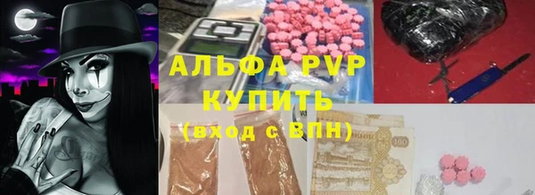 прущие грибы Бородино