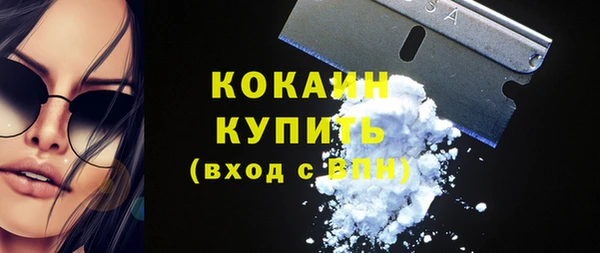 прущие грибы Бородино