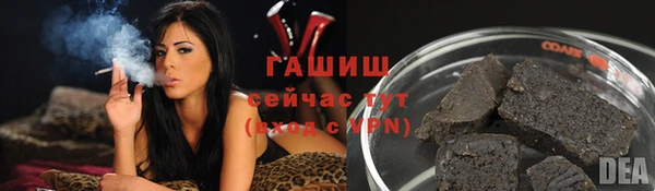 прущие грибы Бородино