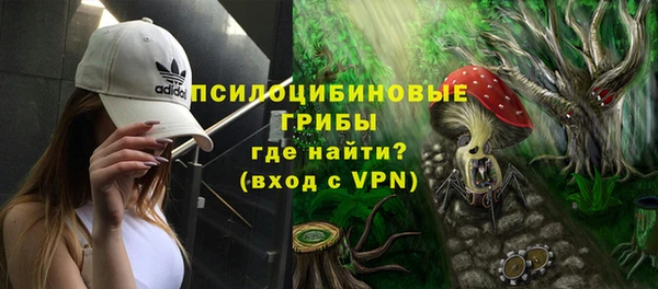 прущие грибы Бородино