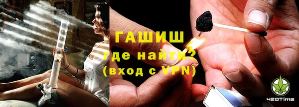 прущие грибы Бородино