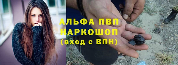 прущие грибы Бородино